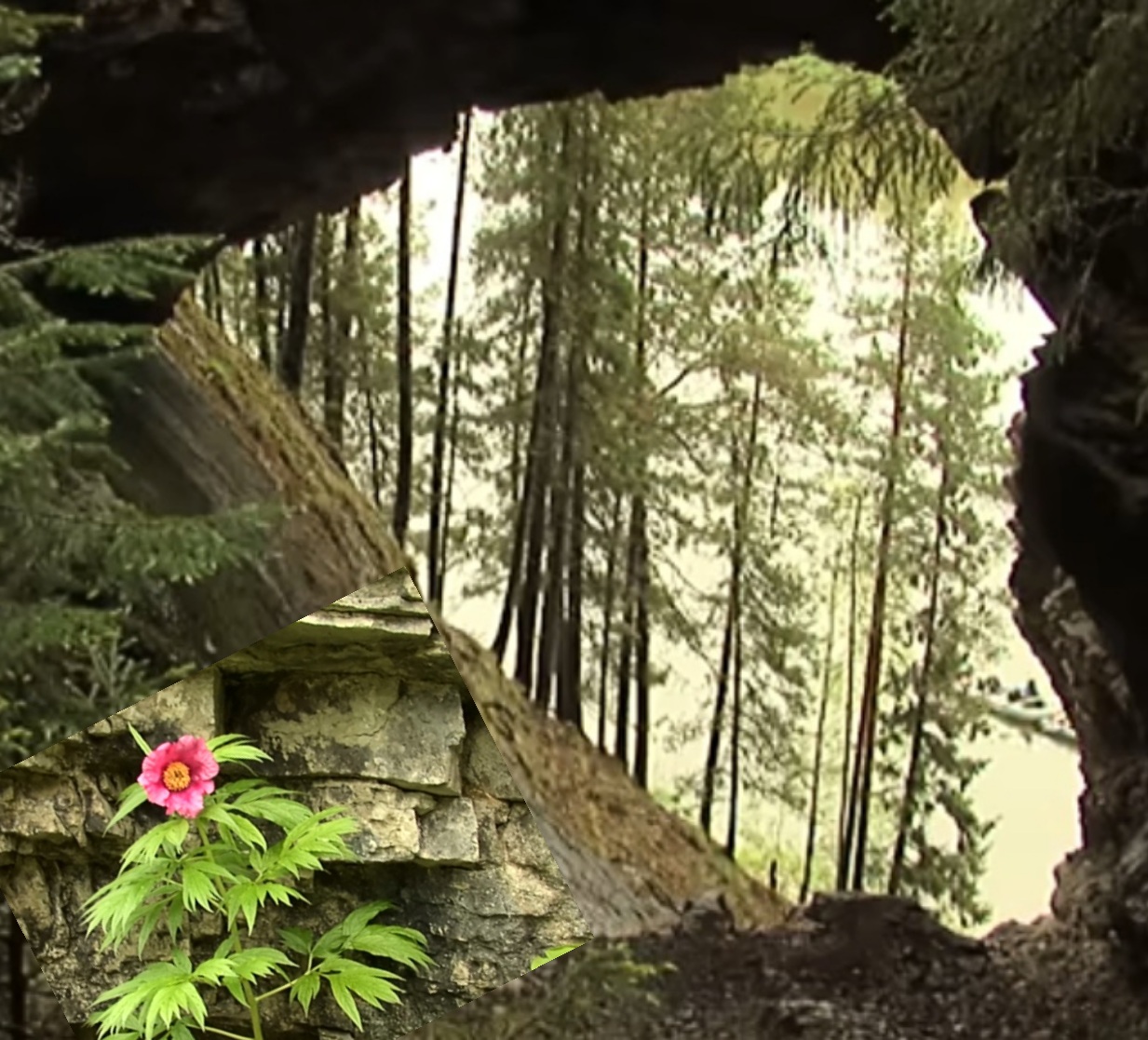 Все мне кажется...