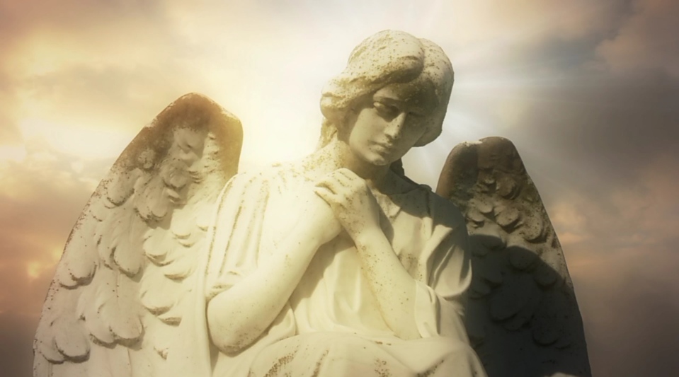 Растреклятая стерва-война