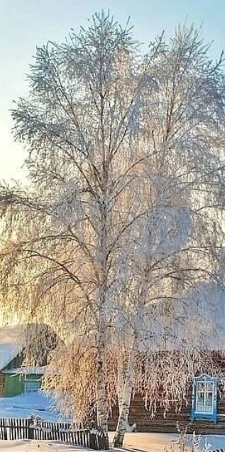 Ещё немного