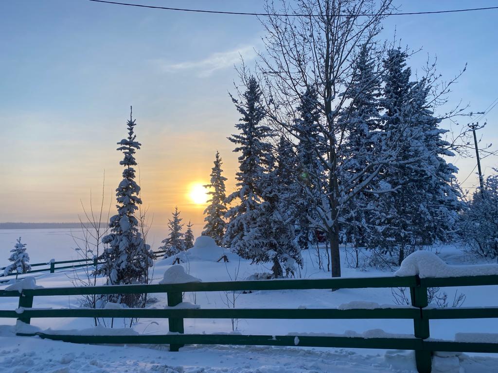 Застывшие сюжеты