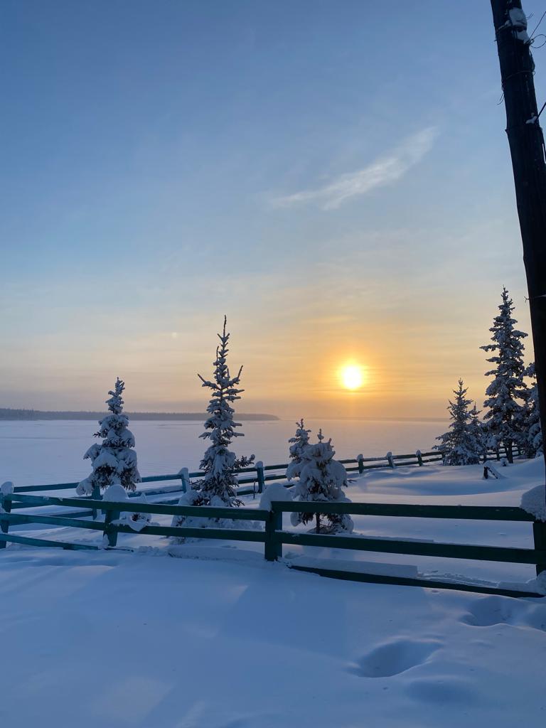 Оживление кругом