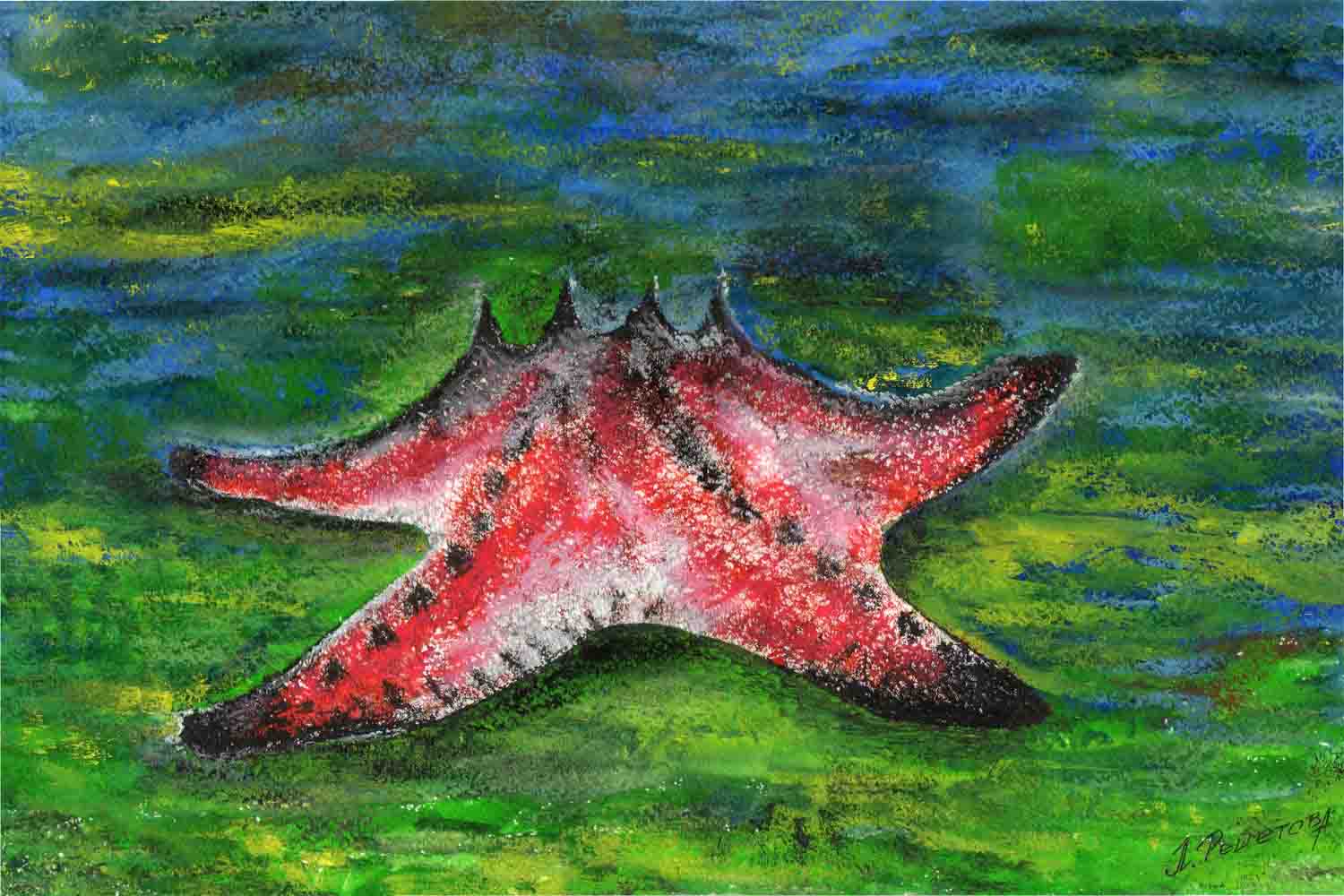 Морская звёздочка