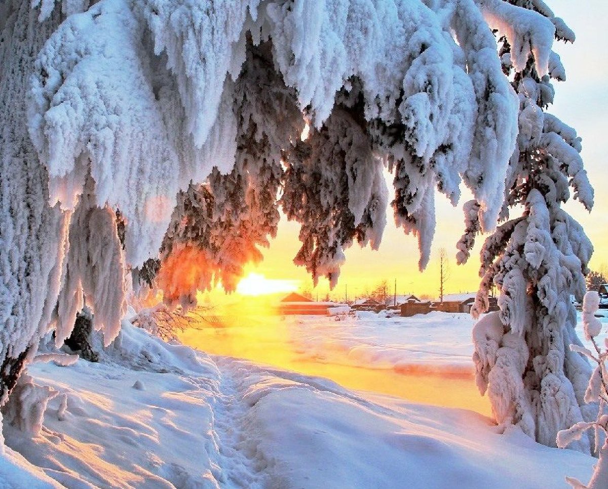 Песня а где то заснеженную сибири. Зима в Сибири. Зимняя природа. Пейзажи Сибири. Природа Сибири зимой.