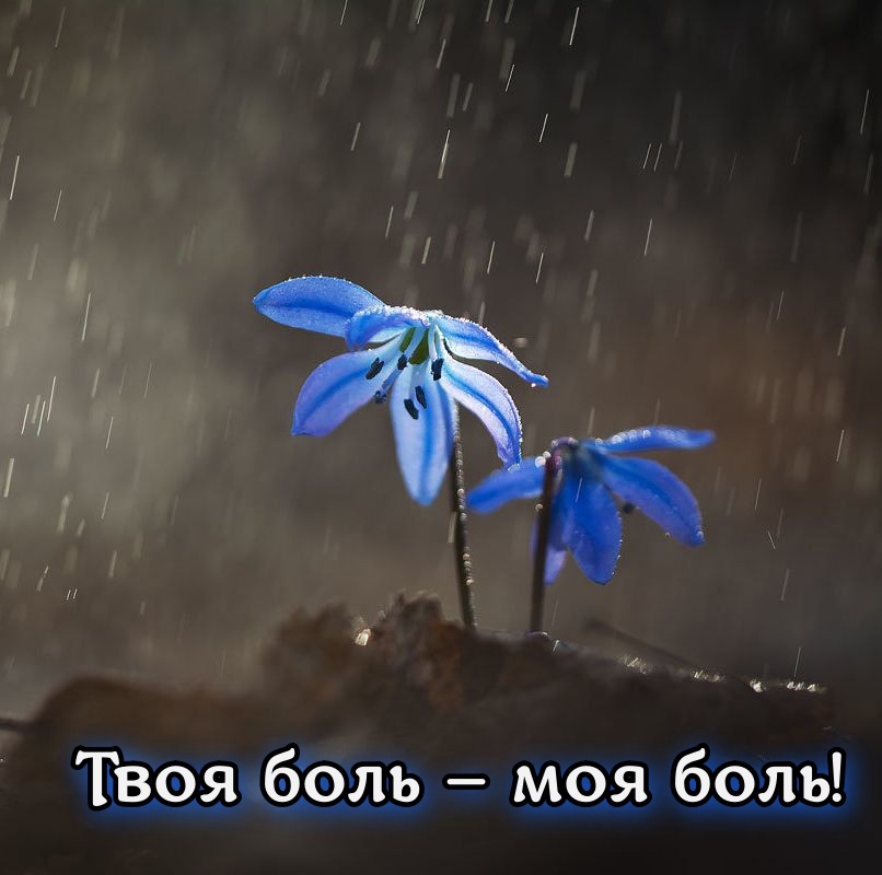 Твоя боль - моя боль
