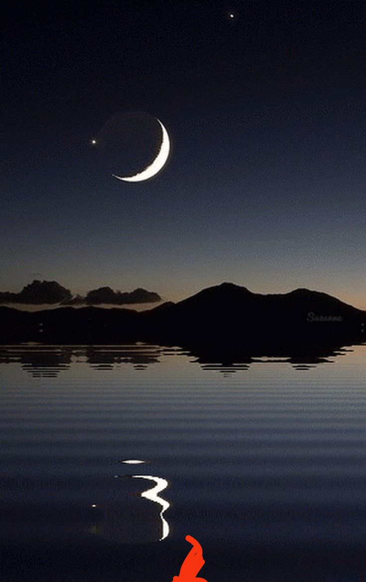 Вокруг было только посеребренное луной. Красивая ночь. Месяц на небе. Ночь месяц. Месяц в ночном небе.