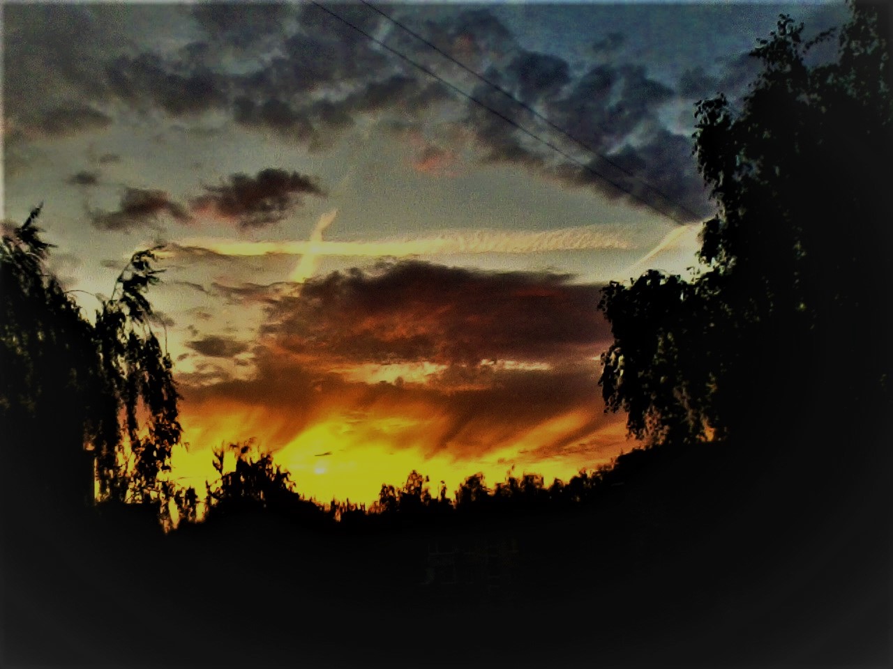 Проект закона от поэтов