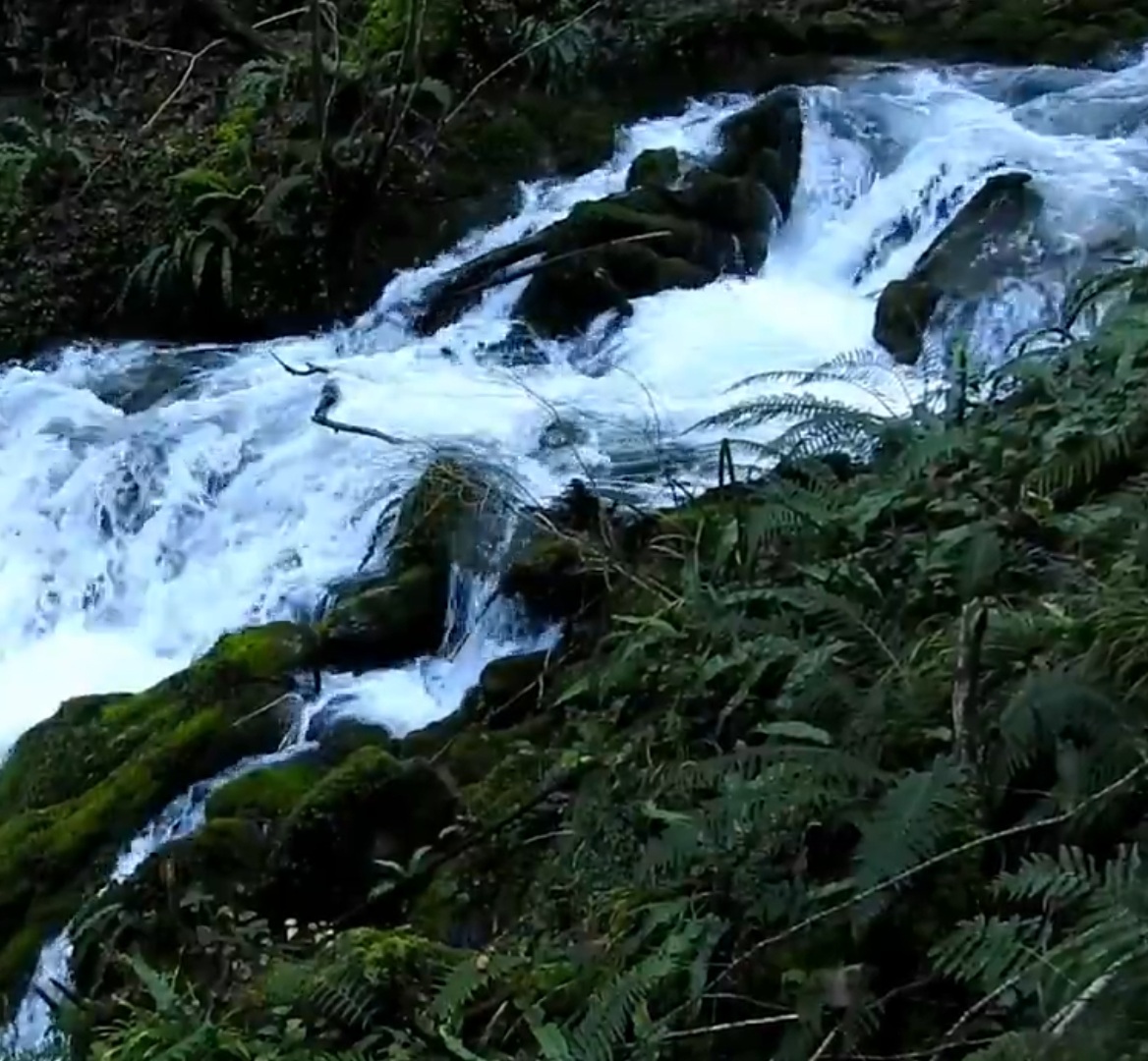 Возможность - свет мой, вновь очистит тело...