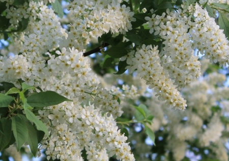 Обратного нет пути