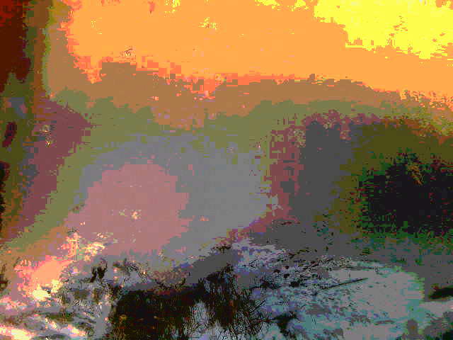 Сквозь высокие лапы сосны