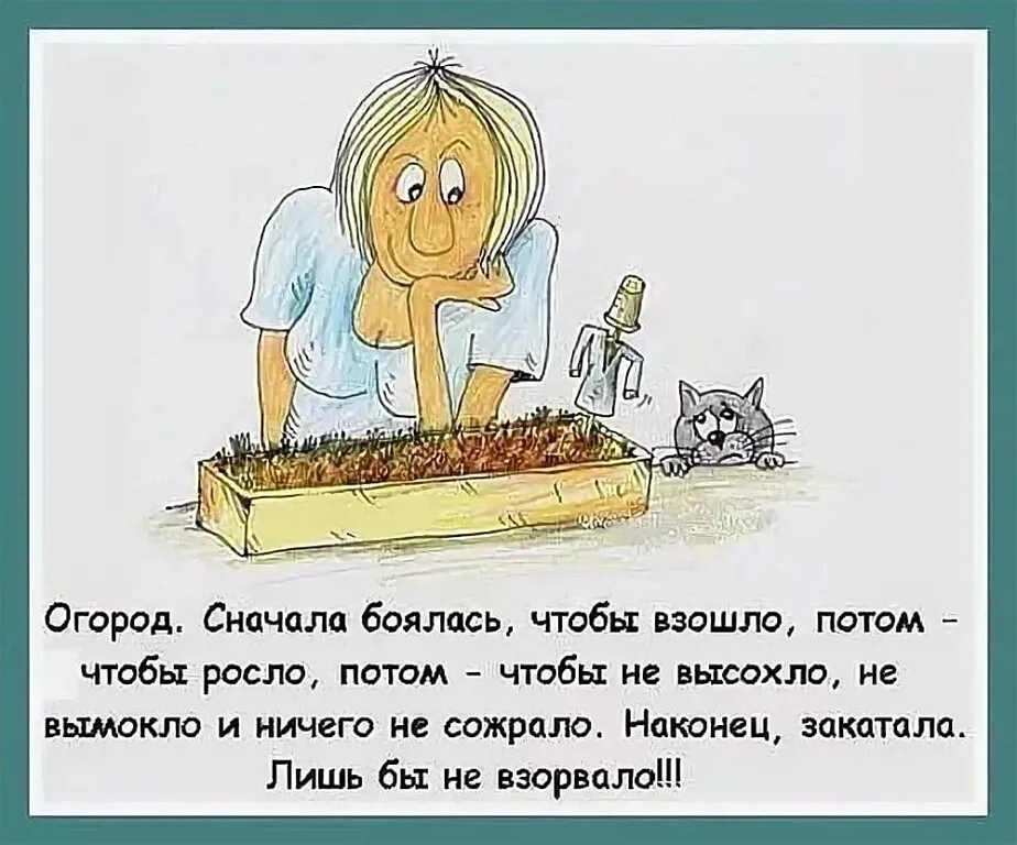 Предвесенние мечты садовода...