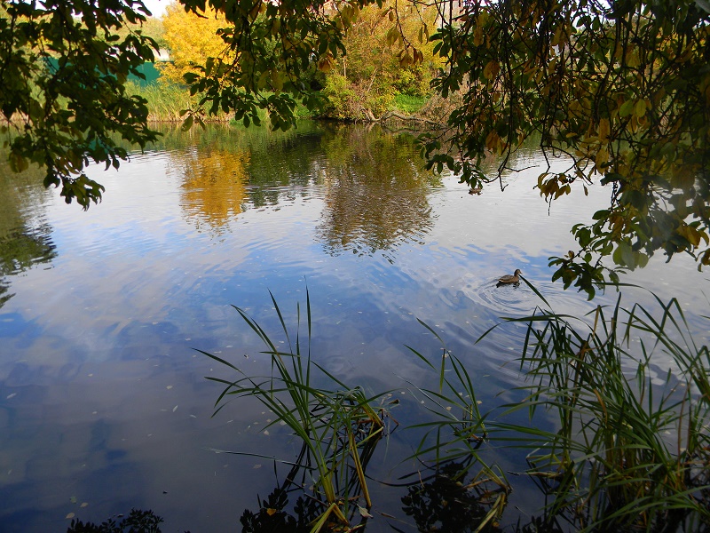 Осенний сплин