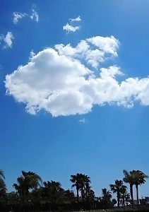 Чудо-юдо Рыба-кит