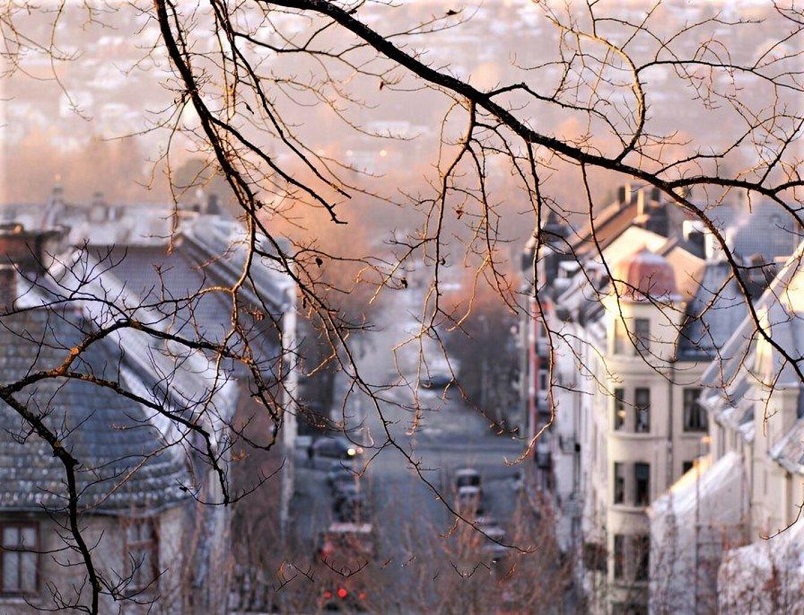 Прощай, мой близкий и далёкий