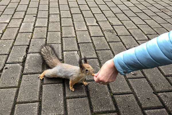 Четыре пути