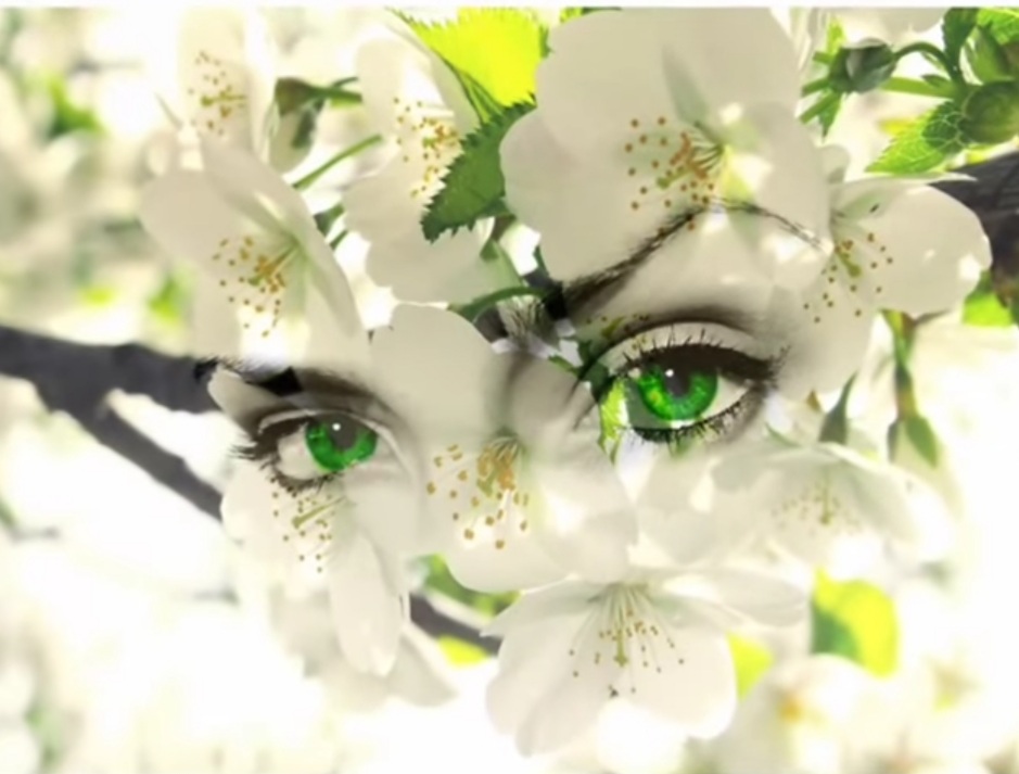 Мой сон... 22. 02. 2024г