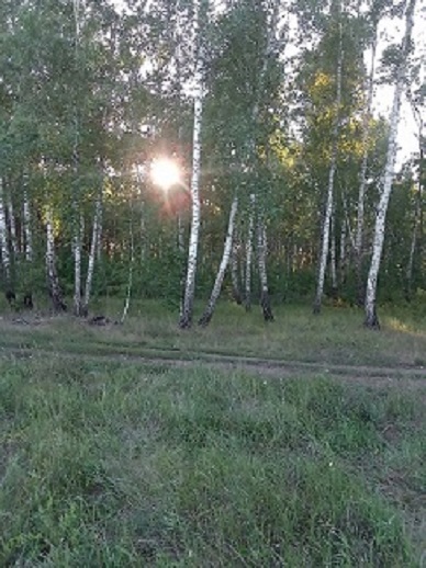 Я скучаю по летним закатам