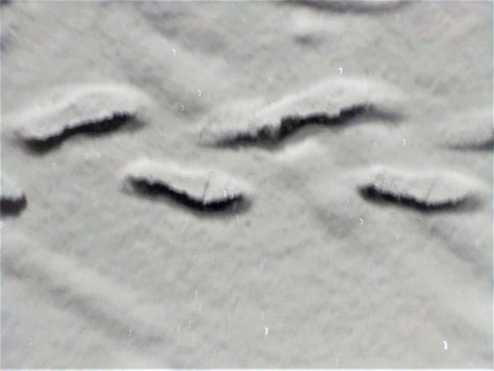 Пора определиться