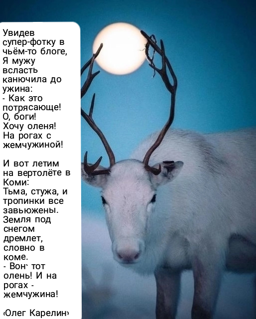 Пыжик