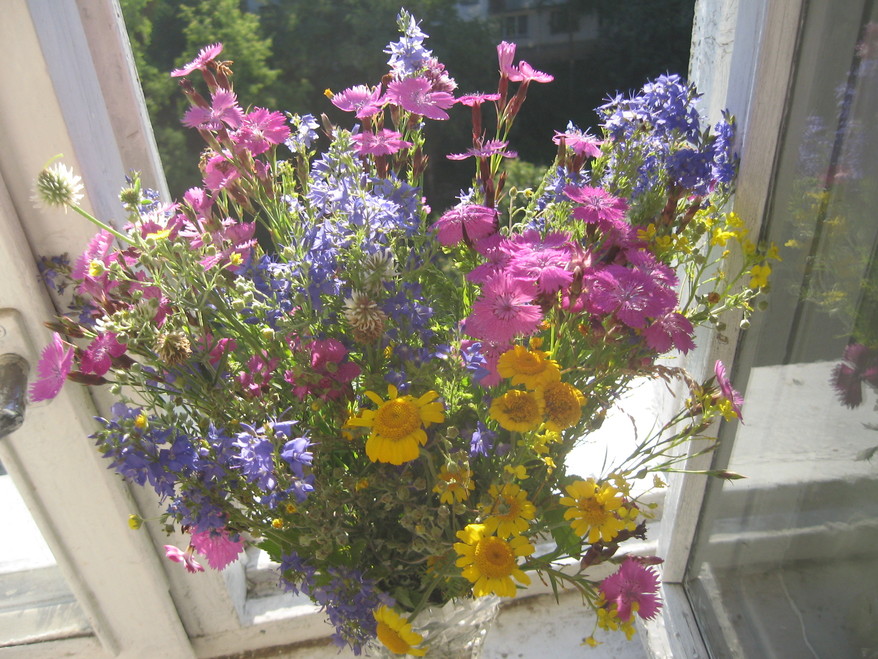 Дыхание судьбы