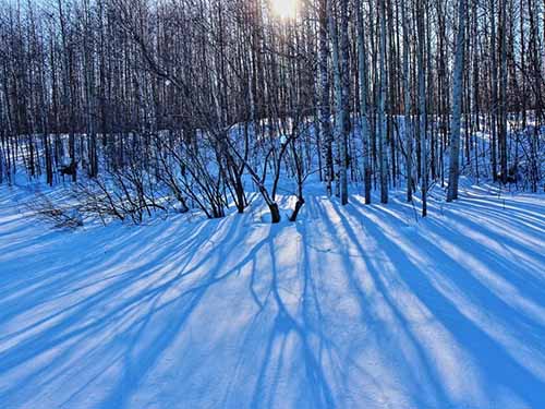 Мартовская синь