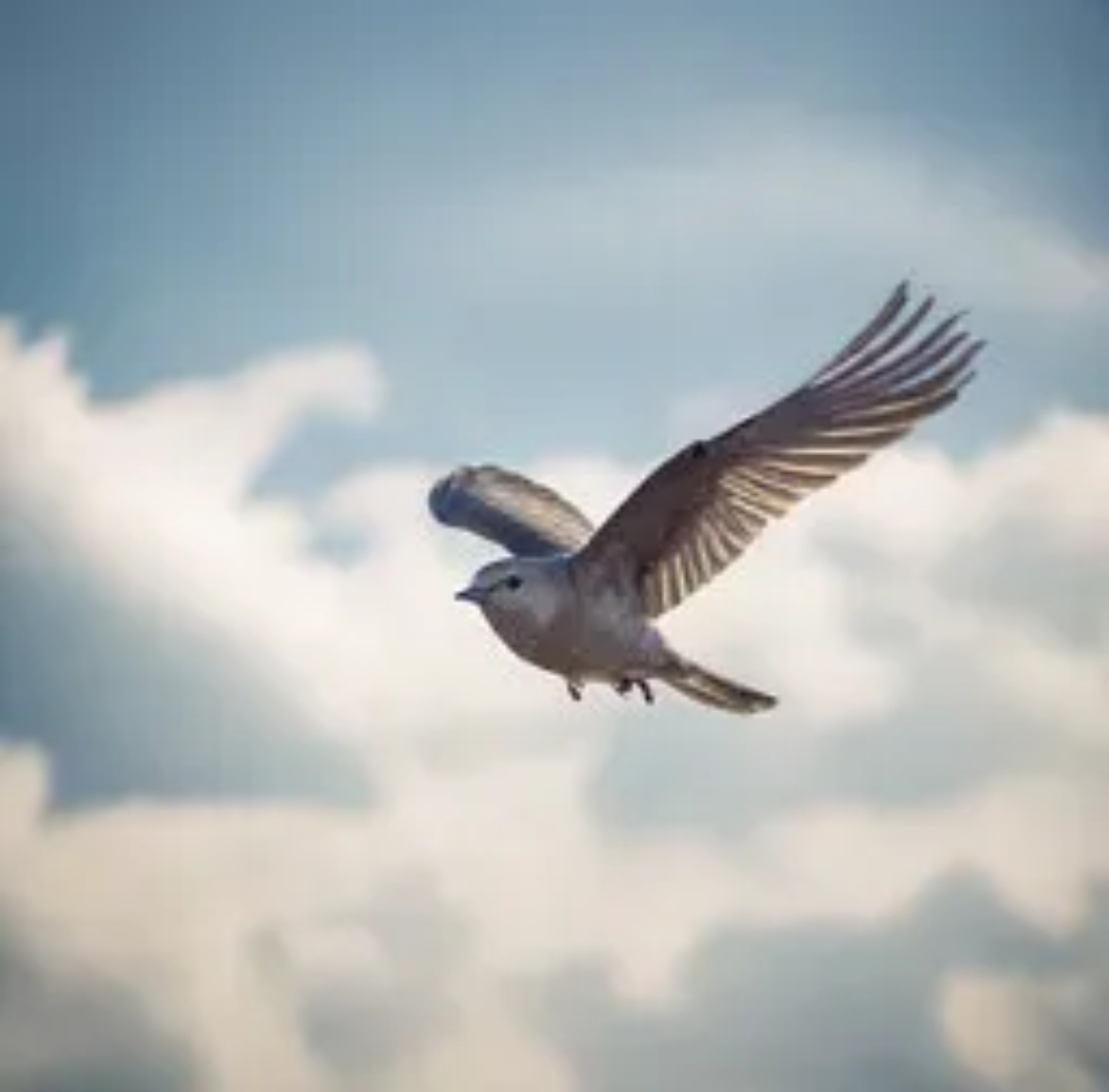 113. Мысли о весне