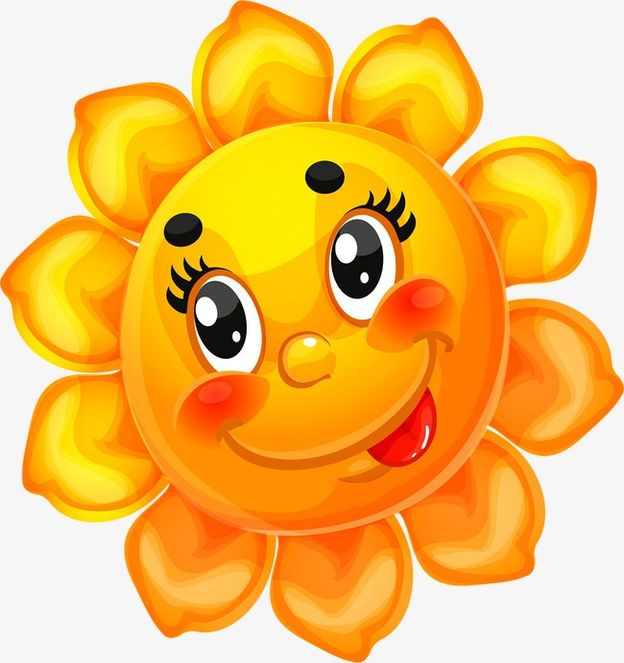 Солнечное меню