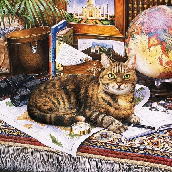 не важно, кто ты