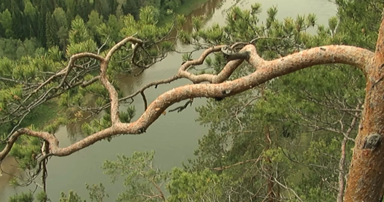 Память - благодарю, тебя, Земля...