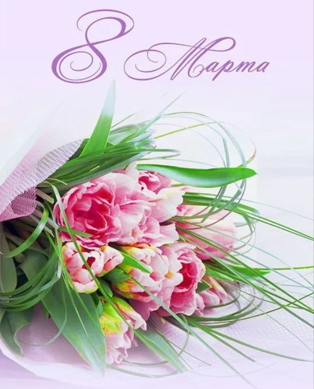 Picture background