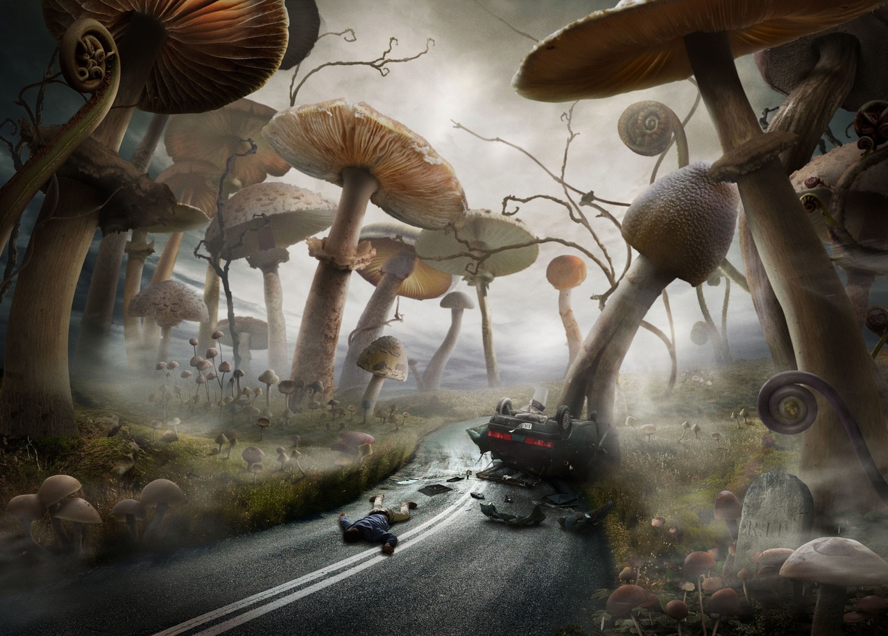 Нечто немыслимое. Фотоманипуляции