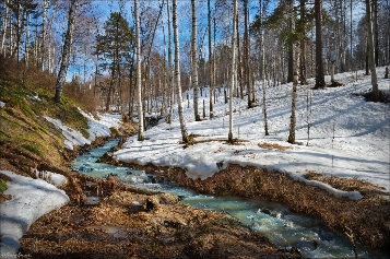 Весенний лес