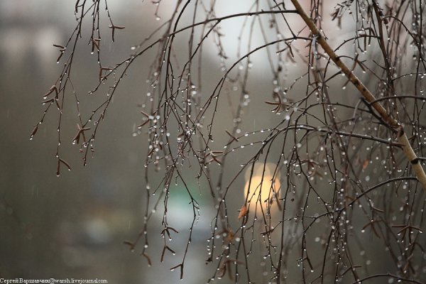 Мартовский дождь