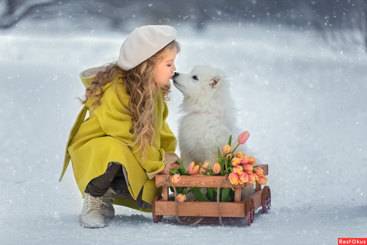 Ай да Пушок!