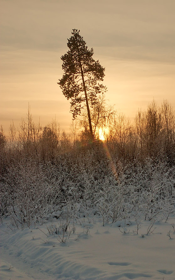 Смена времен года