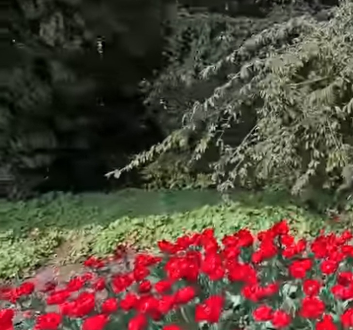 Соратники - спасибо, Земля...