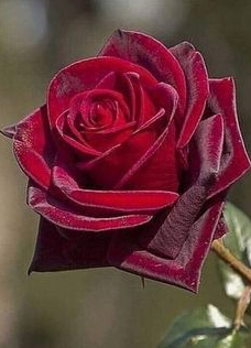 Поговорить бы...