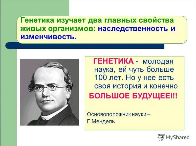 Генетика проект 9 класс