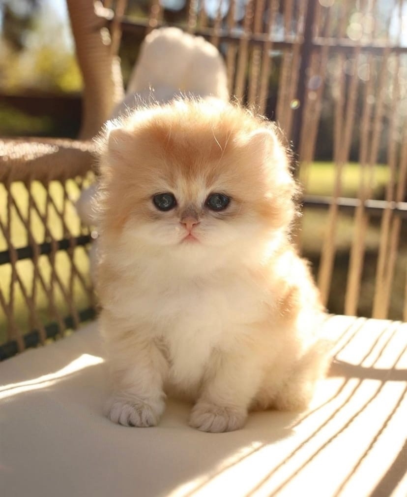 Свет всегда хранится в нашем сердце