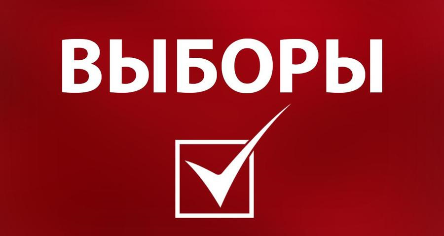 Выборы...