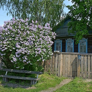 Отчий дом. Текст песни