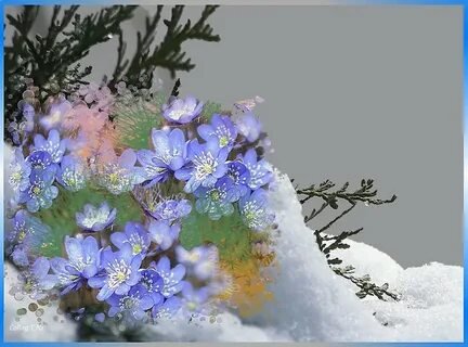 Засыпал день