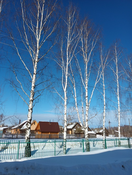 Спасибо за жизнь!
