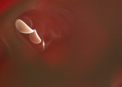 Доказательство любви