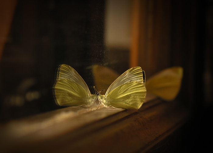 Страх любой преодолеешь