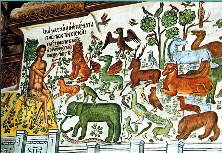 Тебе это нравится