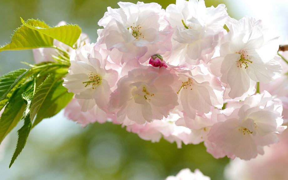 Душу вновь приласкала земная прохлада