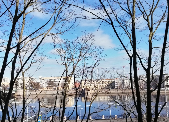 Странная картина