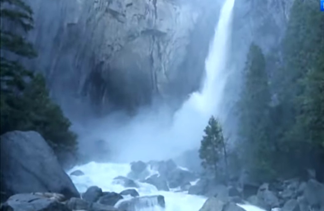 Соратники - наша кровь...