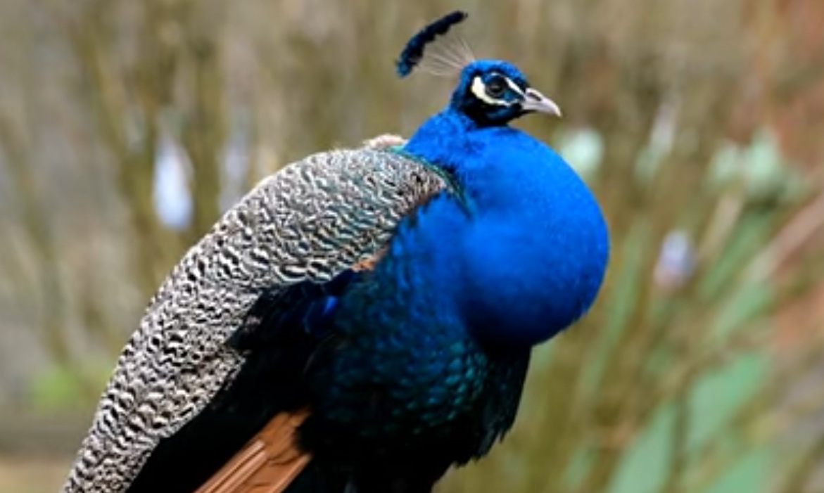 Обусловленности - врастая в ткань пространства...