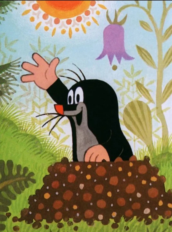 Счастье в ладошке